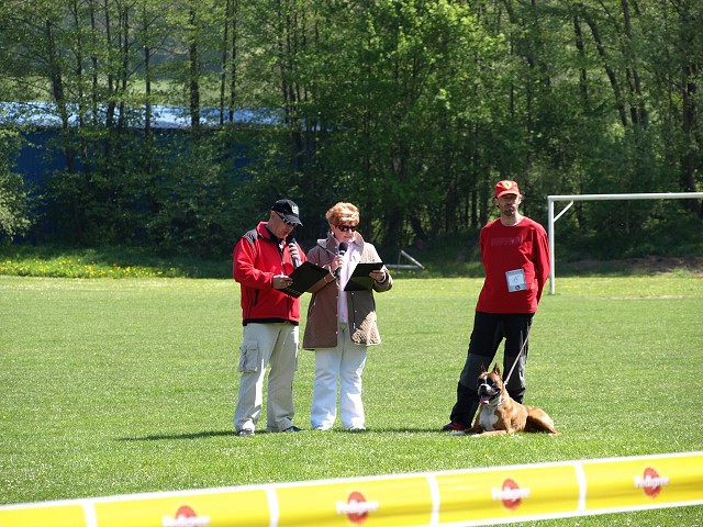 www.atibox.net * www.euroboxer.eu * www.boxergenealogia.eu